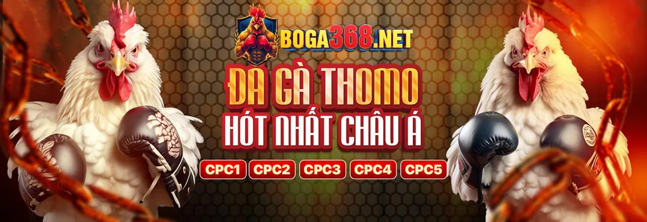 Hoàn Trả Hàng Ngày & Sự Kiện VIP