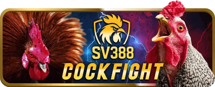 Hoàn Trả 9bet chính thức
